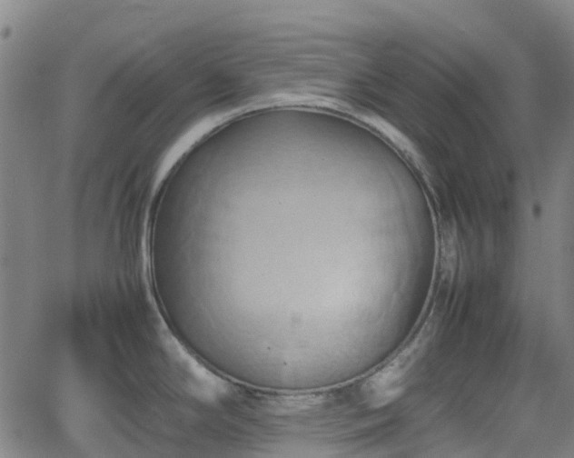 X0000064041294200601301139