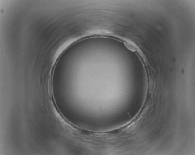 X0000064041295200601301139