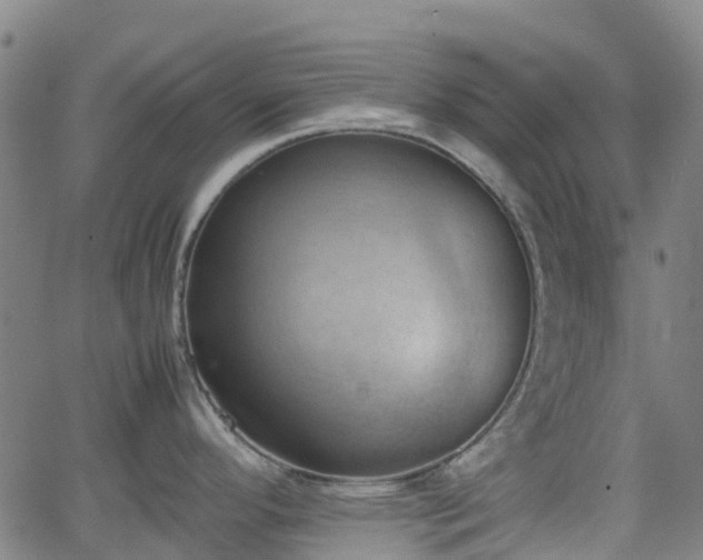 X0000064041296200601301139