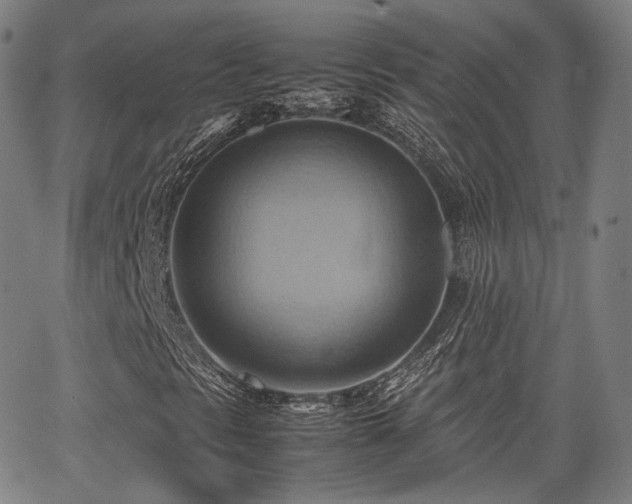 X0000064041297200601301138