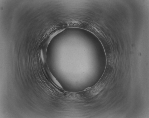 X0000064041298200601301138