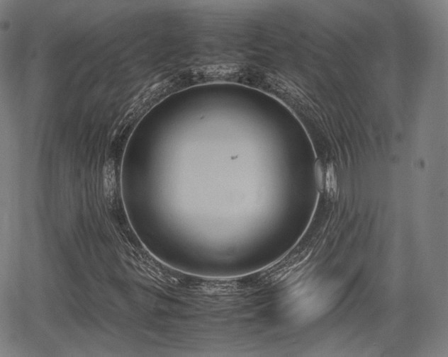 X0000064041299200601301138