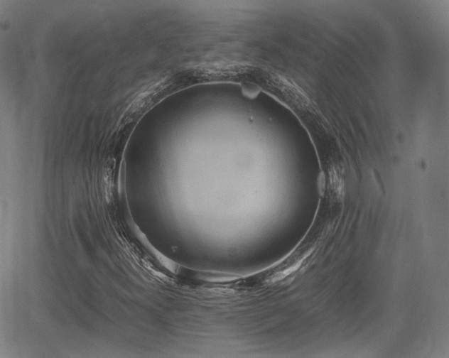 X0000064041300200601301138