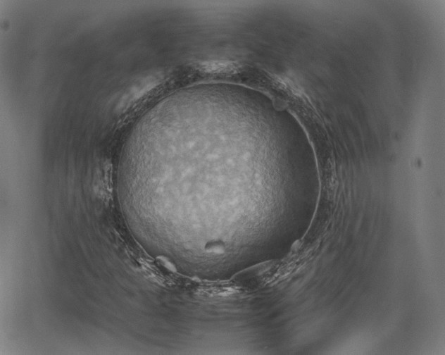 X0000064041301200601301138