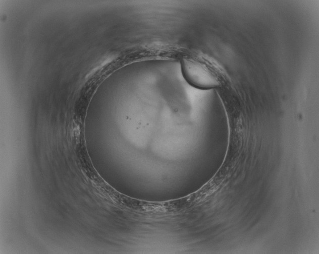 X0000064041302200601301138