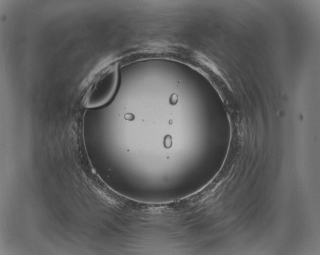 X0000064041304200601301138