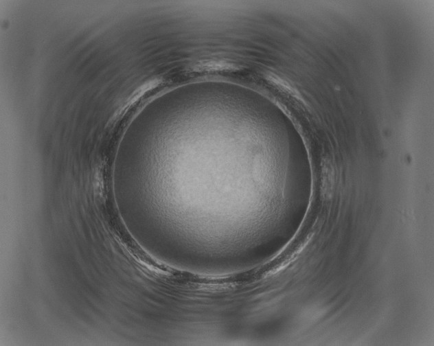 X0000064041305200601301138