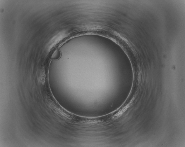 X0000064041306200601301138