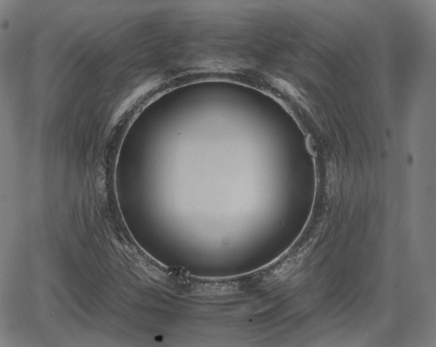 X0000064041307200601301138