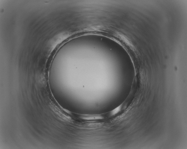 X0000064041308200601301138