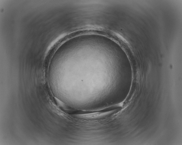 X0000064041310200601301138