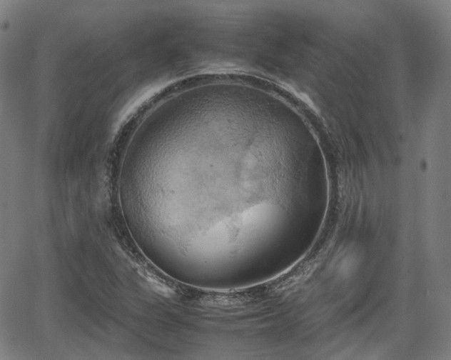 X0000064041311200601301138