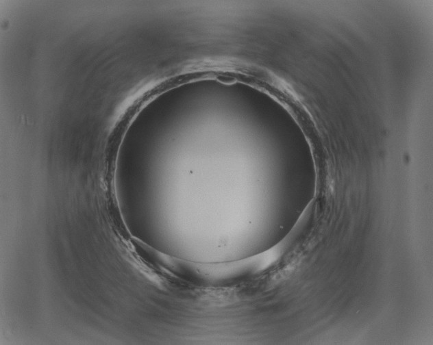 X0000064041312200601301138