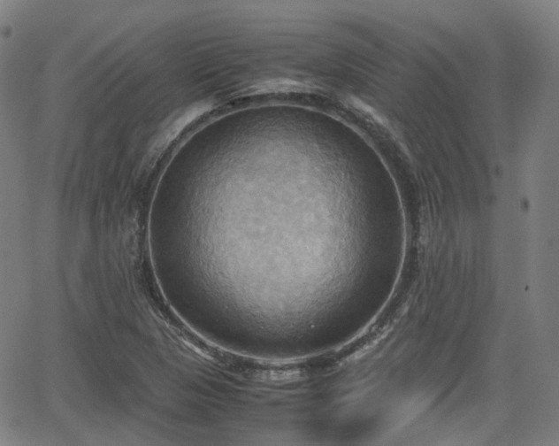 X0000064041313200601301138