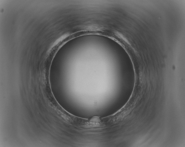 X0000064041315200601301138