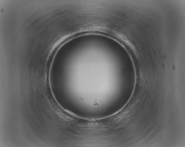 X0000064041316200601301138