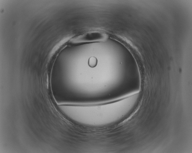 X0000064041317200601301138