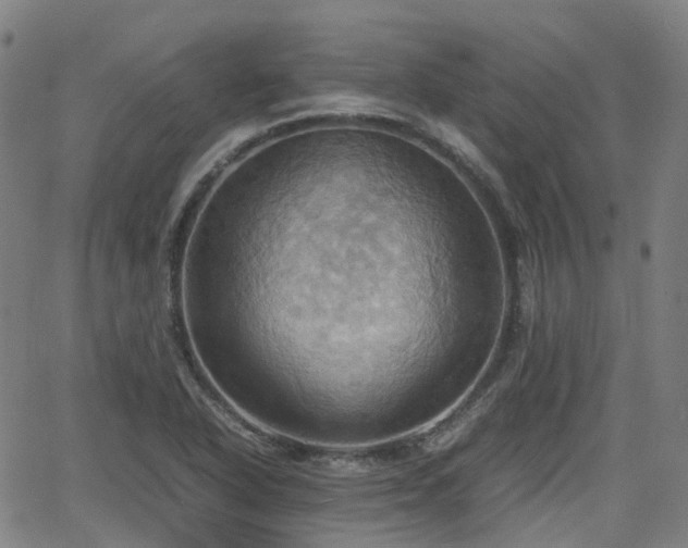 X0000064041318200601301139