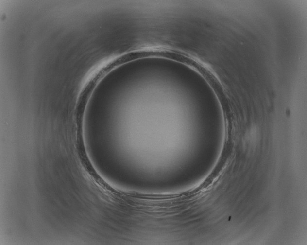 X0000064041319200601301139