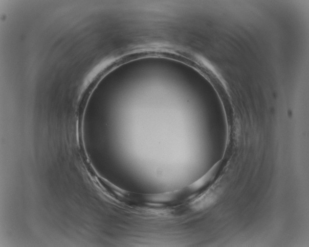 X0000064041320200601301139