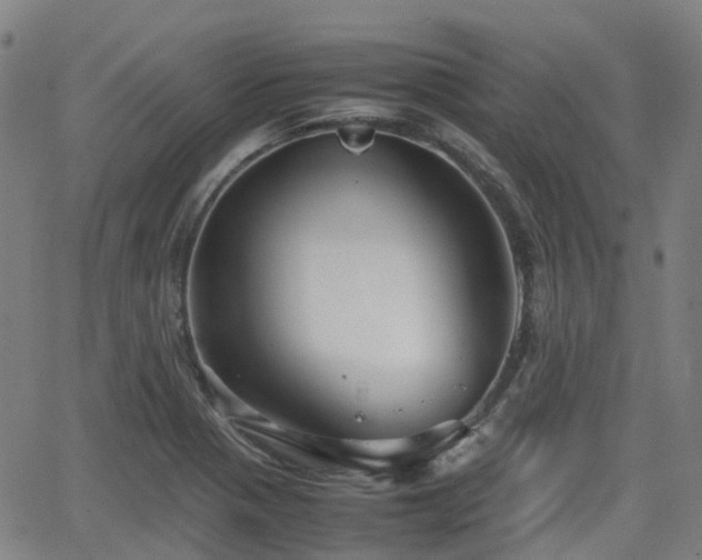 X0000064041321200601301139