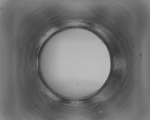 X0000064041322200601301139