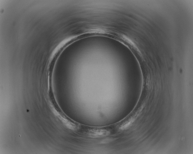 X0000064041323200601301139