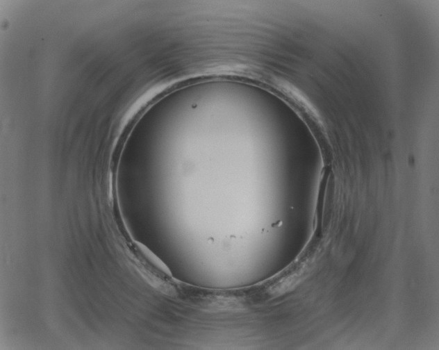 X0000064041324200601301139