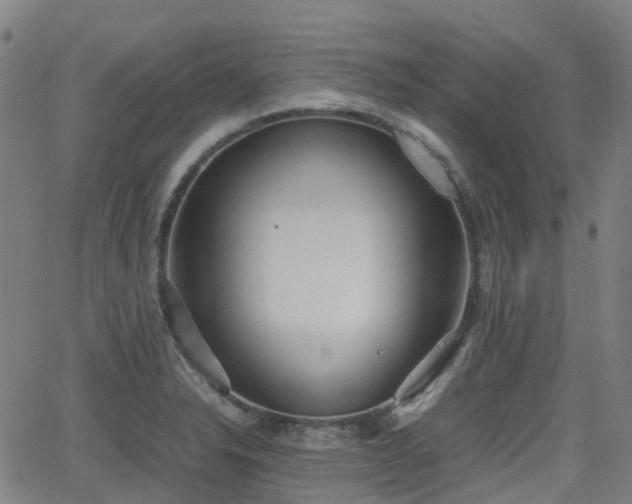 X0000064041326200601301139