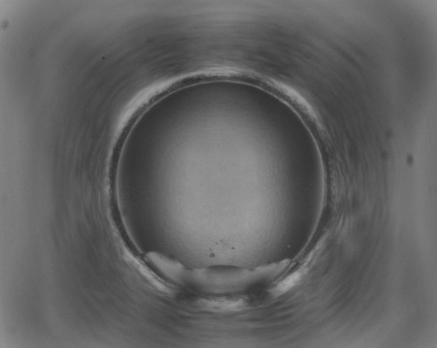 X0000064041327200601301139