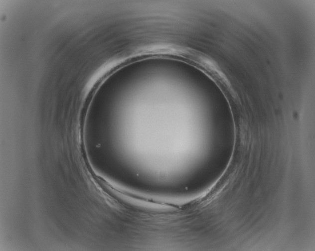 X0000064041328200601301139