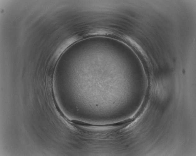 X0000064041329200601301139