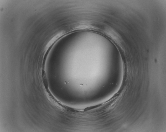 X0000064041330200601301139