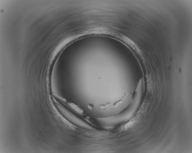 X0000064041334200601301139