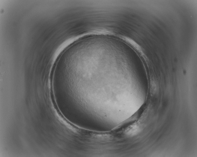 X0000064041335200601301139