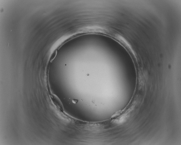 X0000064041336200601301139