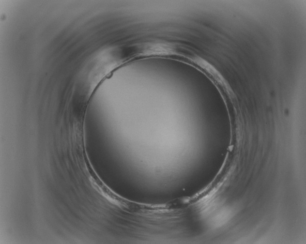 X0000064041337200601301139