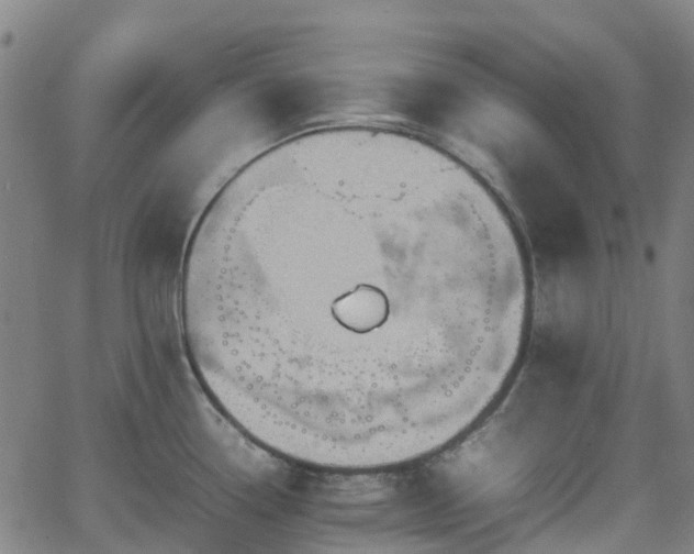 X0000064041338200601301139