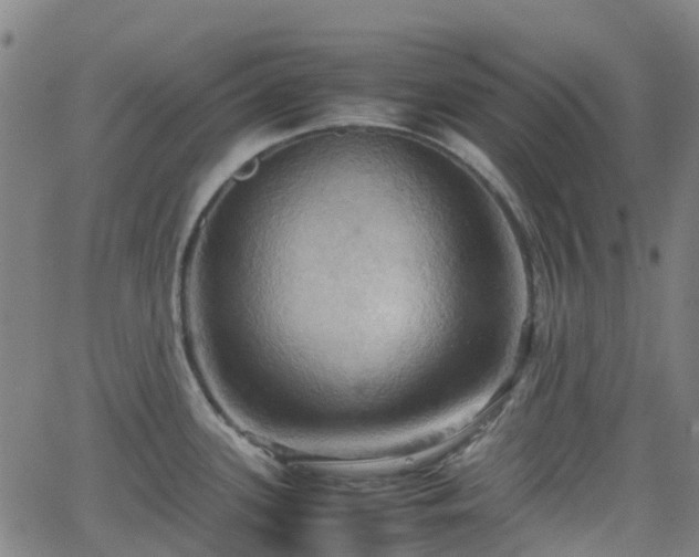 X0000064041339200601301139