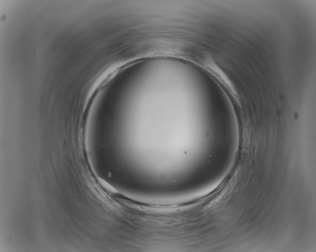 X0000064041340200601301139