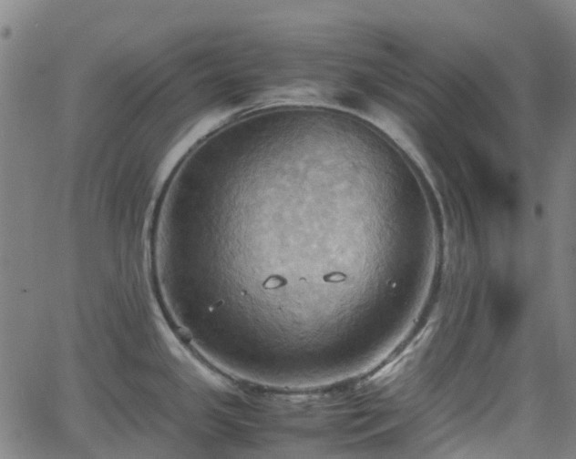 X0000064041341200601301139