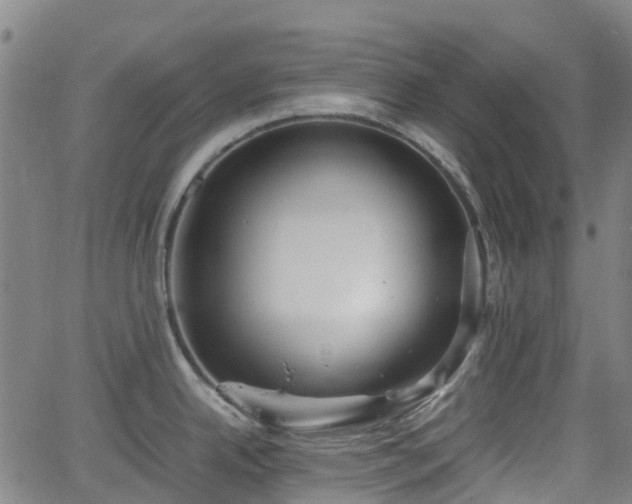 X0000064041342200601301139