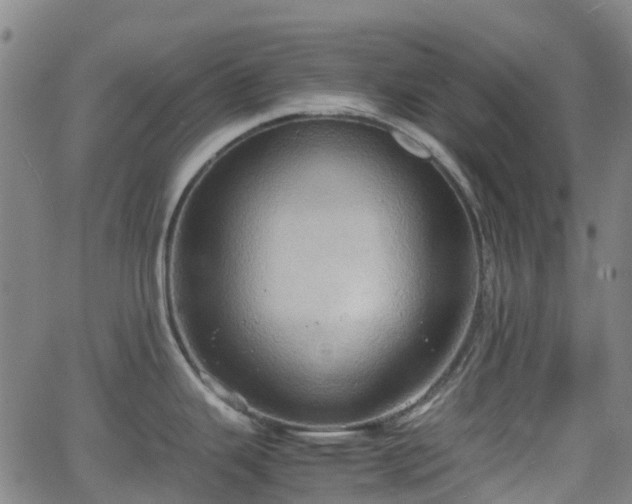 X0000064041343200601301139