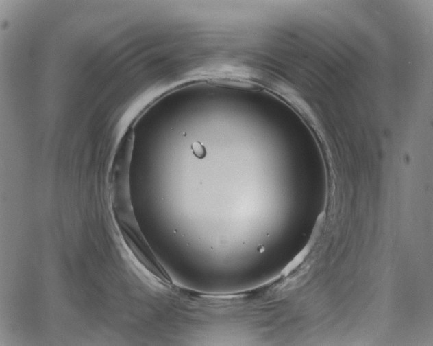 X0000064041344200601301139