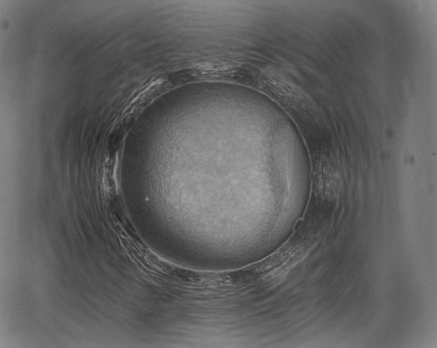 X0000064041346200601301138