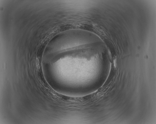 X0000064041347200601301138