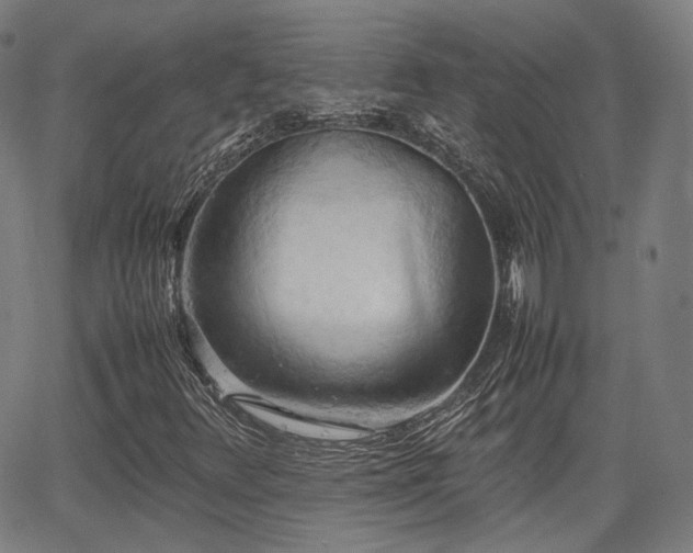 X0000064041348200601301138