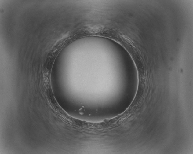 X0000064041349200601301138