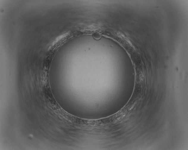 X0000064041350200601301138