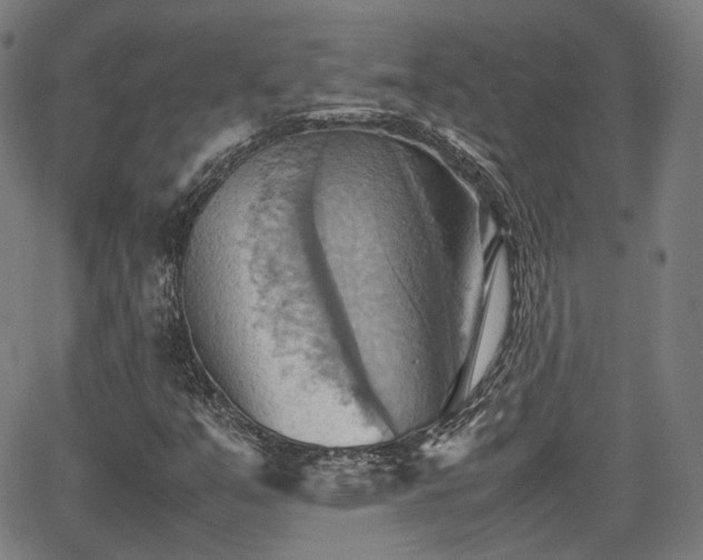 X0000064041351200601301138